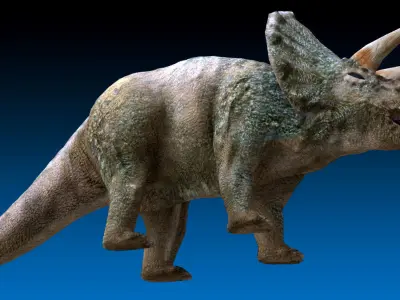 Triceratops Jurassic Dinosaur Low-poly 3D model