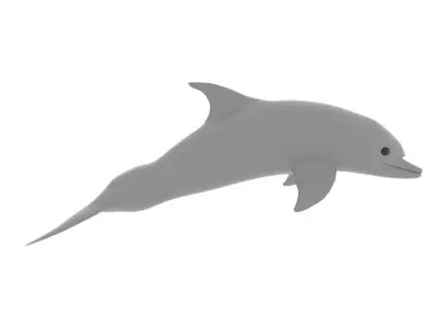 Afalin dolphin 3D model