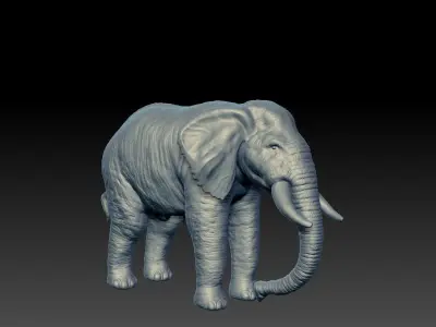 Realistic Elephant 3D model on platform 3D model
