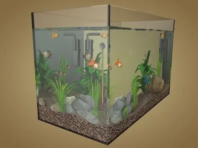 Aquarium fish tank Low-poly 3D model