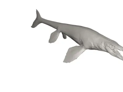 Dinosaur whale 3D model