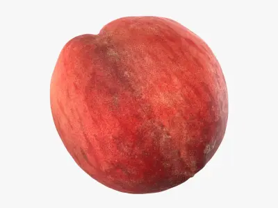 Peach Fruit Collection 3D model