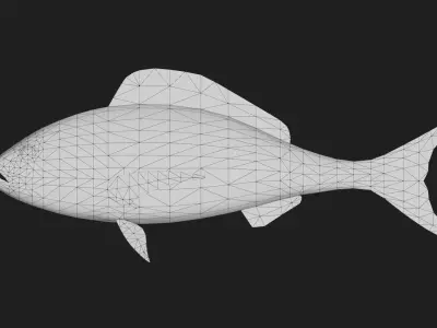 Snapper Low-poly 3D model 5