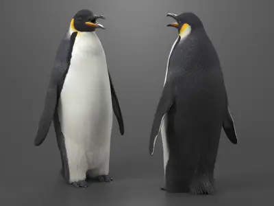  Antarctic Penguin Male Adult Fur 