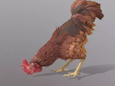Eating Rooster CHICKEN PECKING Food 3D model