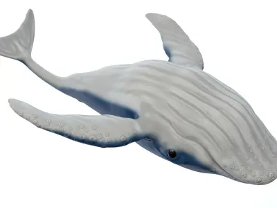 Whale Cartoon 3D model purchase