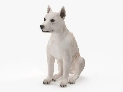  Mongrel Dog Cream Sitting Pose 