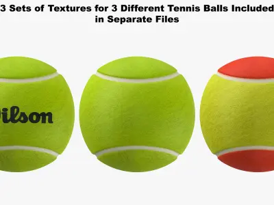 Sports Racquets And Balls Collection 3D model