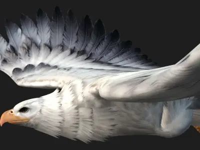 Eagle-B3 3D model