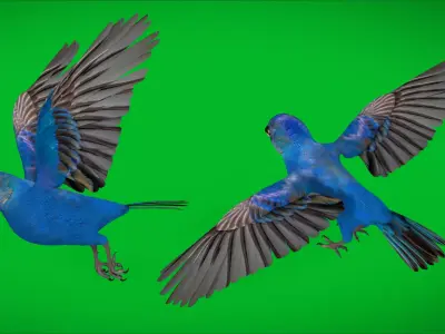 Indigo Bunting Cardinal Bird Low-poly 3D model