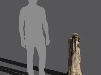  Tall Bare Deciduous Stump Model 