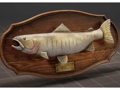 Fish Trophy Plaque Taxidermy Mounted Wooden Wall Decor 3D model