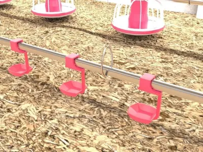 Poutry farm feeder drinker sawdust 3D model