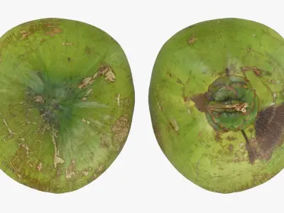 Green Coconut Collection 1 3D model
