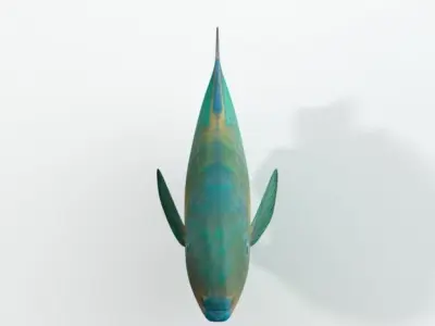 Rainbow Parrotfish Low-poly 3D model