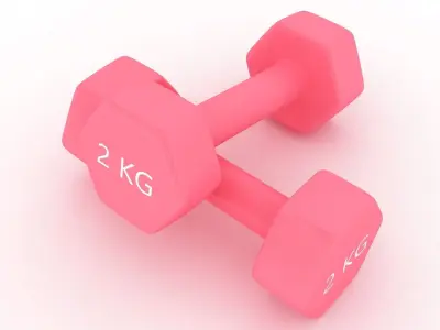 Plastic Fitness Dumbbells 3D model