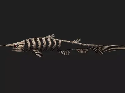 Shark Low-poly 3D model 27