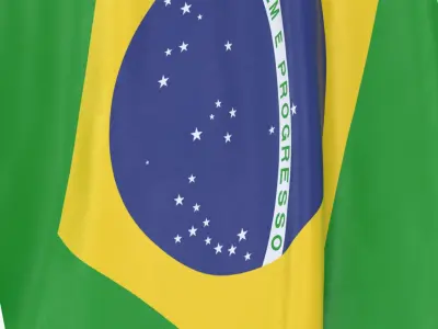  Brazil Cloth Flag Wall Mount Animated 