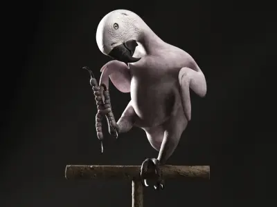 Realistic 3D model of Macaw with texture pack 3D model