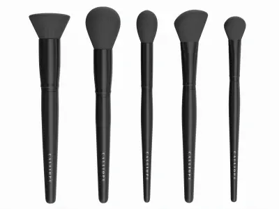 Face Brush Collection 5 Piece 3D model