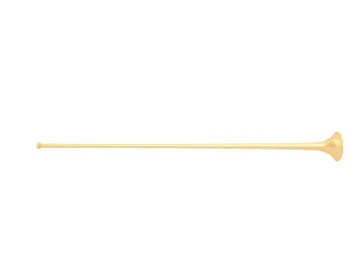Long trumpet 3D model