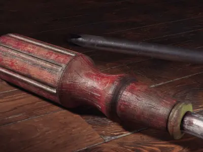 Old Screw Driver  3D model