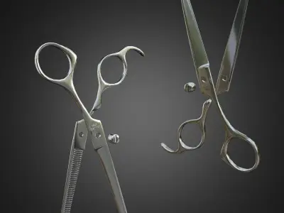 Barber scissors and thinning hair scissors 3D model
