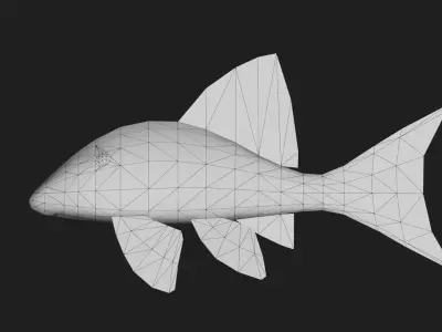 Panaque Low-poly 3D model purchase