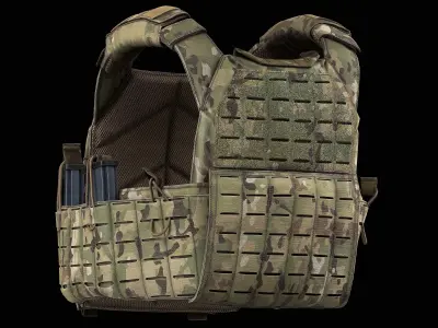 Shellback Tactical Rampage 2 0 Plate Carrier Low-poly 3D model