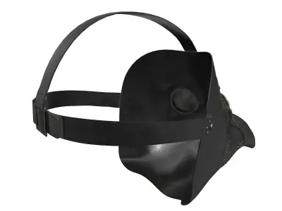 Antique Plague Mask 3D model