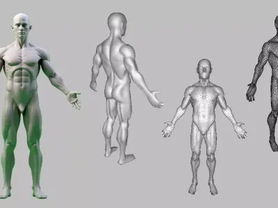 Rigged Human Pose 3D Model  AI  Game Dev PBR Textures  3D model