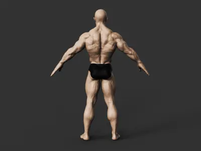 Bodybuilder 3D print model order