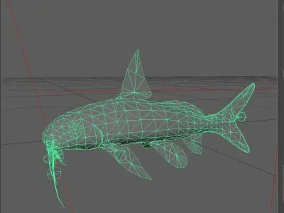 Catfish Low-poly 3D model 8