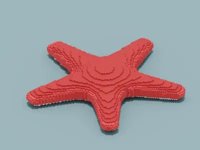 Voxel Starfish Low-poly 3D model