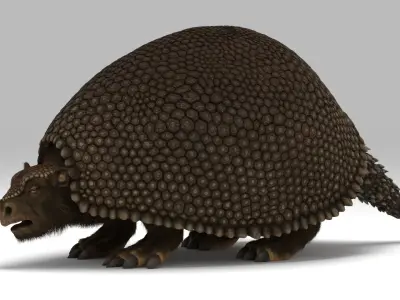 Glyptodon 3D model