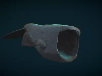 Bloop Free 3D model