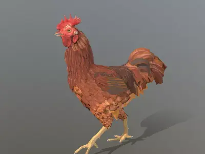 Brown Rooster CHICKEN WALKING 3D model