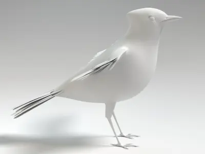  Blue Jay Animated 