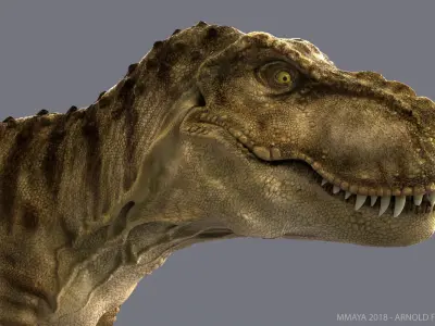 Tyrannosaurus Rex RIGGED 3D model purchase