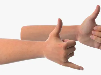 Male Arm Pair with Shaka Gesture 3D model