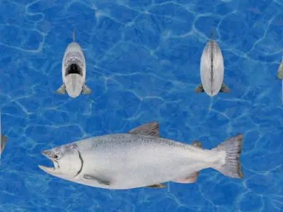 Realistic Salmon two fish with bloody mouth Low-poly 3D model