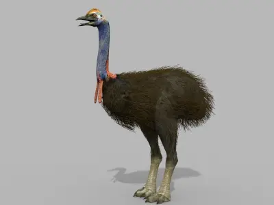 Elephant Bird 8K - 3d animated model 3D model
