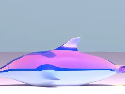 dolphin 3D model 5