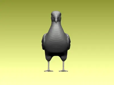 Seagull 3D model purchase