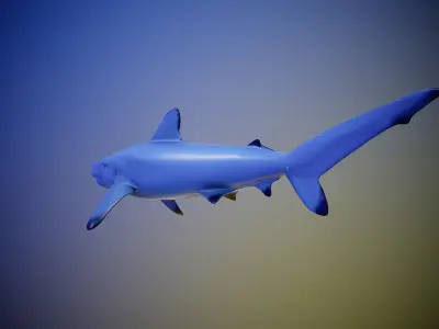 Shark rigging animation PBR Low-poly 3D model