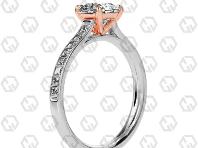 Ring 80 Raidant Shape and princess on shanks with Gems 3D print model