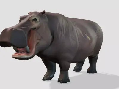 Hippo - Africa 3D model