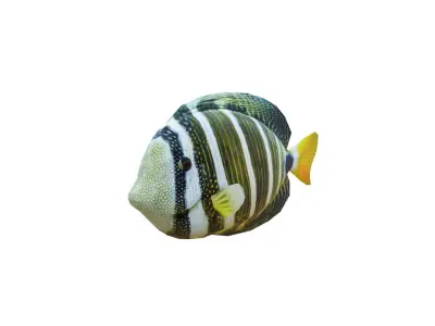Low-Poly Striped tropical Animated  Low-poly 3D model
