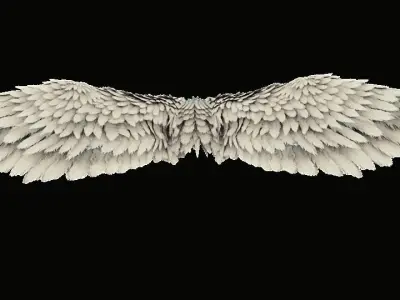 Wing angel 3d model Low-poly 3D model