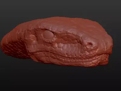 Snake Head 3D model